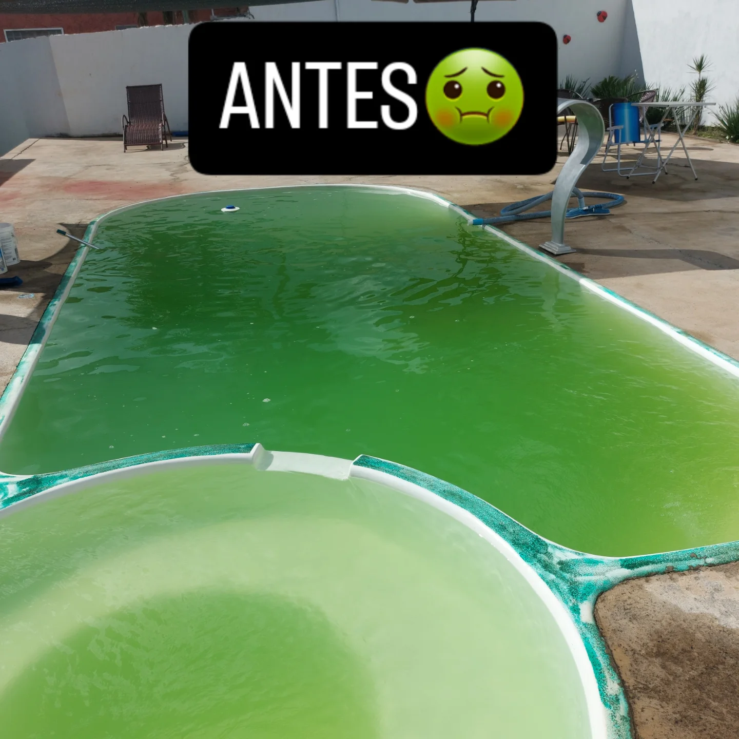 Antes: Piscina com água verde precisando de tratamento